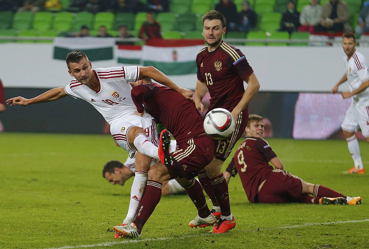 Hungary's Priskin tries to score past Russia's Ignashevich фото (photo)