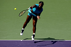 Теннис Tennis — Chasing pack closing on Serena, says Navratilova