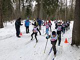 Лыжи Лыжная секция для детей в Московской области примет в дар спортинвентарь