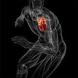 Биатлон Самомассаж клеток сердца, лёгкого и всех сосудов внутри грудной клетки человека