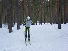 Биатлон Лыжные гонки