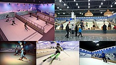  горнолыжный тренажер Proleski — занятия на настоящих лыжах и сноуборде круглый год