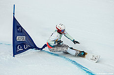 Cноуборд Snowboard (сноуборд): FIS Snowboard World Championships — Men фото (photo)