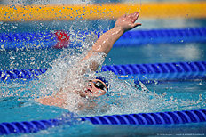 Плавание Swimming — 16th FINA World Championships: Day Eleven