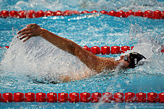Плавание Swimming — 16th FINA World Championships: Day Twelve