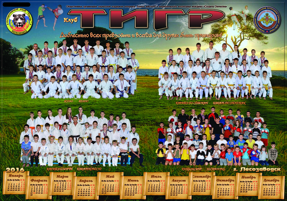 Клуб «Тигр» 2015-2016 учебный год