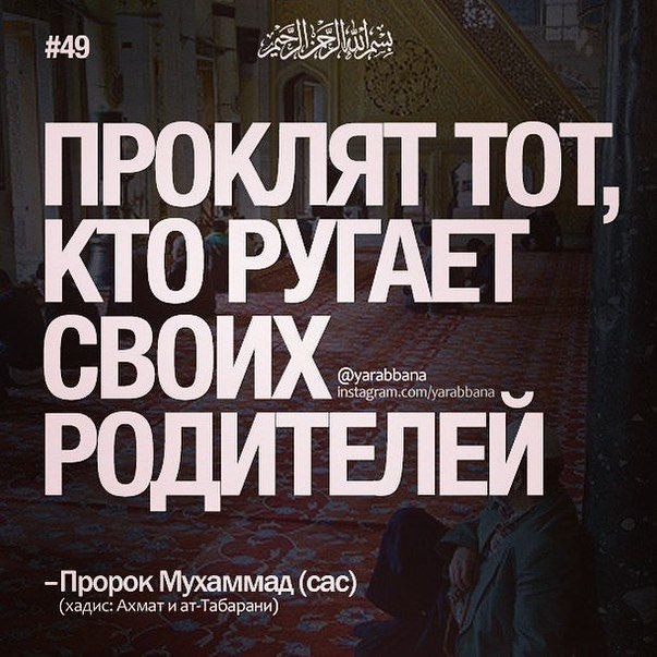 Хабиб Нурмагомедов обновил свою фотоленту в Инстаграм