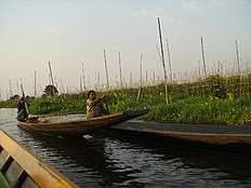 Биатлон Бирма. Грядки на озере
