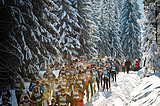 Лыжи Обзор 3 — го этапа лыжного марафона Езерская 50 (Jizerska Padesatka) серии Visma Ski Classic сезона 2015 — 16