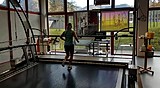 Лаура Дальмайер вновь приступила к тренировкам Лаура Дальмайер вновь приступила к тренировкам