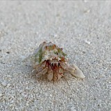 Маргарита Мамун поделилась новым видео в Инстаграм Маргарита Мамун поделилась новым видео в Инстаграм
