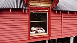 Тарьей Бё поделился своей видеозаписью в Instagram Тарьей Бё поделился своей видеозаписью в Instagram