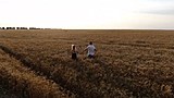 Александр Большунов обновил свою видеоленту в своем Инстаграме Александр Большунов обновил свою видеоленту в своем Инстаграме