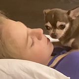 Александра Трусова обновила свою видеоленту в Инстаграм Александра Трусова обновила свою видеоленту в Инстаграм
