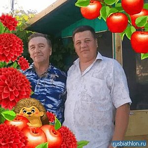 альмир